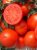 Tomatoes Supergonets