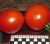 Tomatoes Imperial