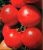 Tomatoes Mars