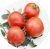 Tomatoes Prima Lux
