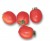 Tomatoes Wunderkind F1