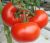 Tomatoes La-la-fa F1