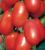 Tomatoes New Transnistria