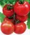 Tomatoes Jaroslavna F1