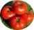 Tomatoes Zenith (Skylark)