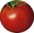 Tomatoes Krakowiak