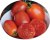 Tomatoes Naples
