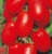 Tomatoes SiRNA