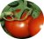 Tomatoes Aramis F1