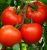 Tomatoes Athos F1