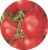 Tomatoes Viardot F1