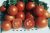 Tomatoes Myosotis