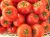 Tomatoes Platus F1