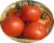 Tomatoes Bagheera F1