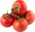 Tomatoes Yakhont