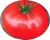 Tomatoes Tyutchev