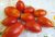 Tomatoes Sicilian pepper