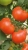 Tomatoes Seven