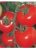 Tomatoes Roxolana F1