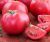 Tomatoes Pink Unicum F1