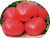 Tomatoes Korneevsky Pink