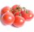 Tomatoes Rococo F1