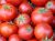 Tomatoes Region