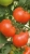 Tomatoes Rubin F1