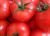 Tomatoes Akdeniz F1