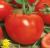 Tomatoes Altruist F1