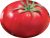 Tomatoes Bersol F1