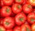 Tomatoes Tamaris F1