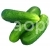Cucumber Fruit F1