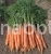 Морковь Наполи F 1
