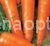 Морковь Финкор