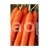 Морковь Амстердамская
