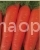 Carrot Dolyanka