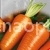 Carrot Red Giant