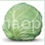 Cabbage Dita