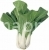 Cabbage HIPRO F1 (pak choi)