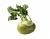 Cabbage Giant (kohlrabi)