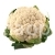 Cabbage Guarantee (color)