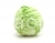 Cabbage Borodin