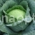 Cabbage Tiara