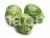 Cabbage Franklin (brussels)