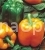 Pepper Orange Wonder