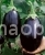 Eggplant Black Beauty (Germ.   )