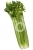 Celery Tenderness