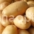 Potato Skarb