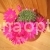 Cacti (cacti care) P .  Grandiflora .  R .  Grandiflora Backbg .